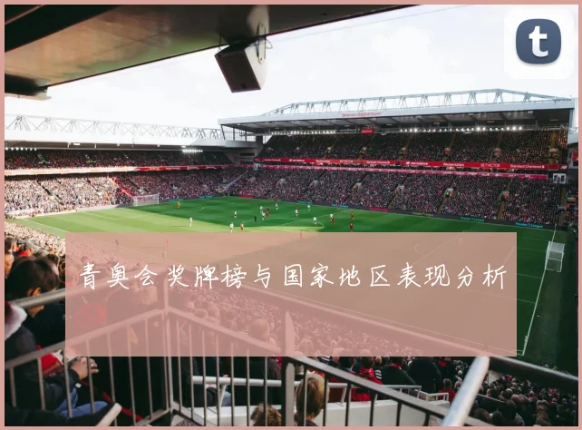 青奥会奖牌榜与国家地区表现分析