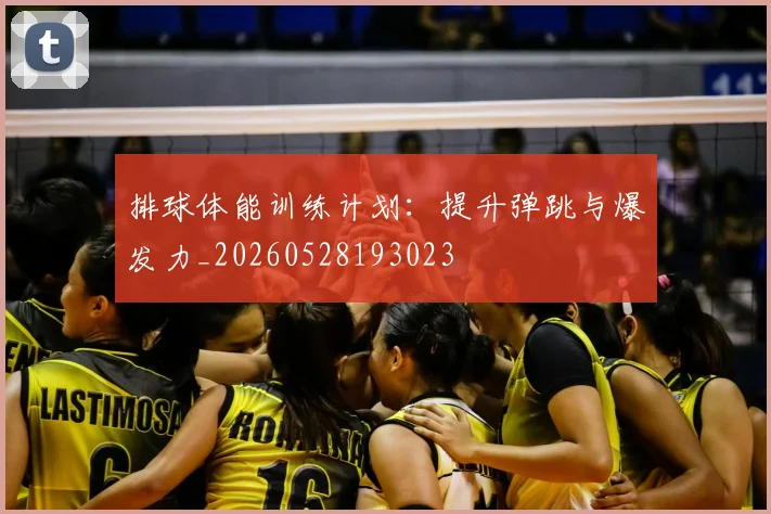 排球体能训练计划:提升弹跳与爆发力_20260528193023
