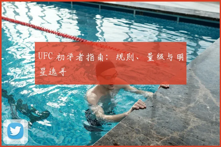 UFC 初学者指南:规则、量级与明星选手