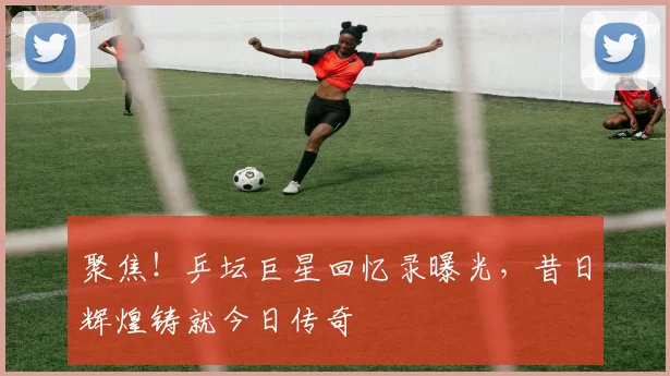 聚焦!乒坛巨星回忆录曝光,昔日辉煌铸就今日传奇