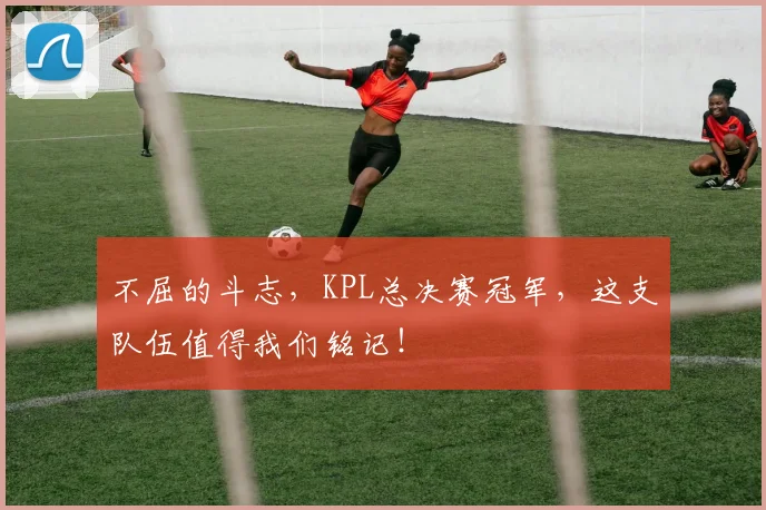 不屈的斗志,KPL总决赛冠军,这支队伍值得我们铭记!